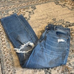 American Eagle Outfitters Distressed Women Mom Jeans